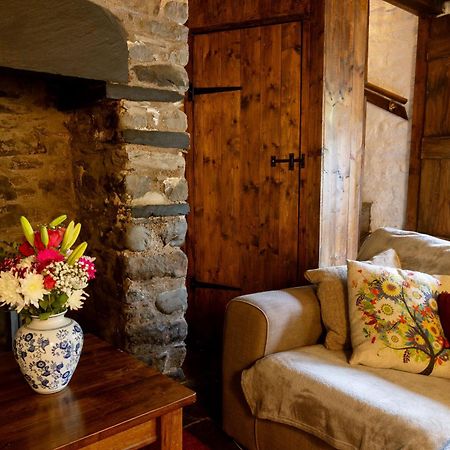 Deer House Vila Machynlleth Exterior foto