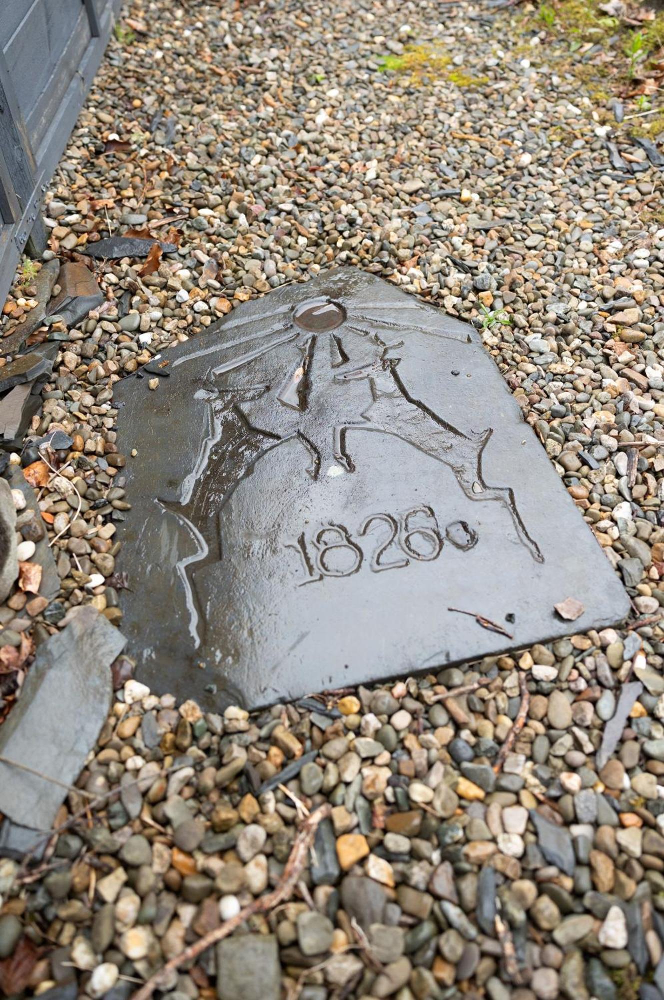 Deer House Vila Machynlleth Exterior foto