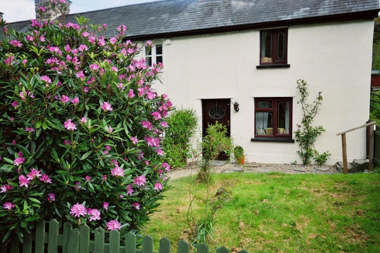 Deer House Vila Machynlleth Exterior foto
