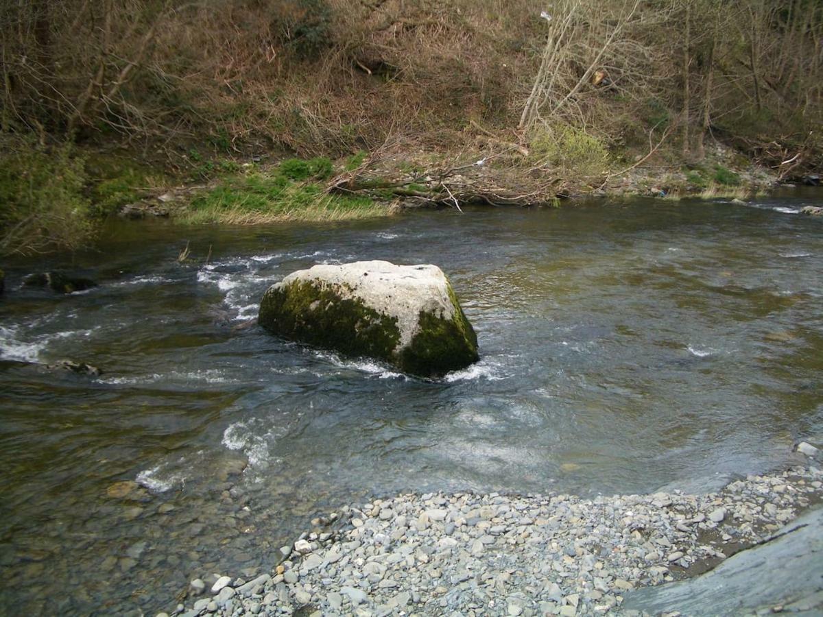 Deer House Vila Machynlleth Exterior foto
