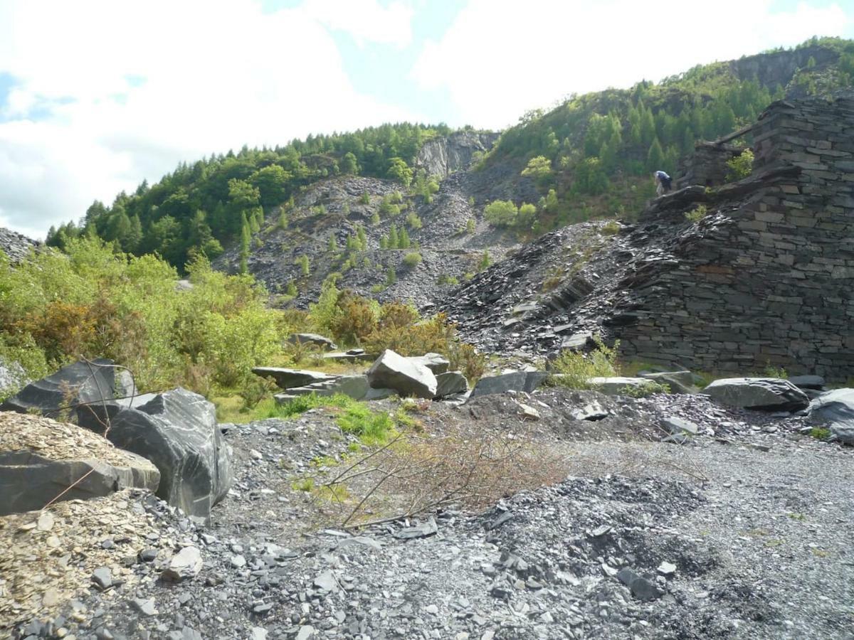Deer House Vila Machynlleth Exterior foto